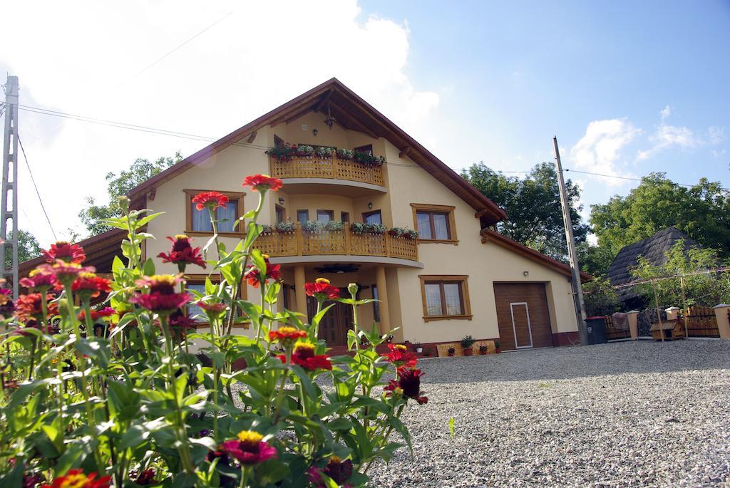 Pensiunea Marioara Breb Exteriér fotografie